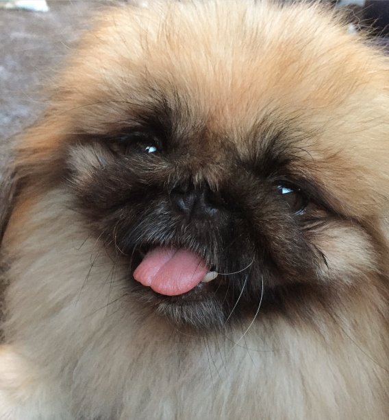 北京人的微笑图片下载