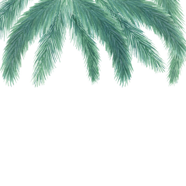 水彩手绘自然冬季常绿植物框架与绿色蓝色杉木树枝组成在白色的背景邀请和问候卡与文字的空间图片下载