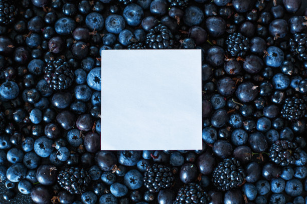 混合布局设置不同类型的黑莓与地方的文本。时尚的季节性维生素。副本的空间。图片下载