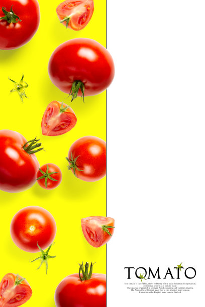 黄色背景上番茄的创意布局。创意平铺蕃茄与简单的文字在白色的背景，复制空间。图片下载