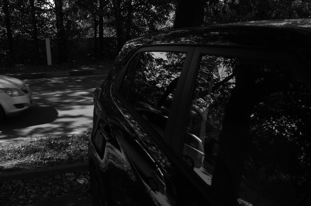 树枝倒映在停着的汽车上图片下载