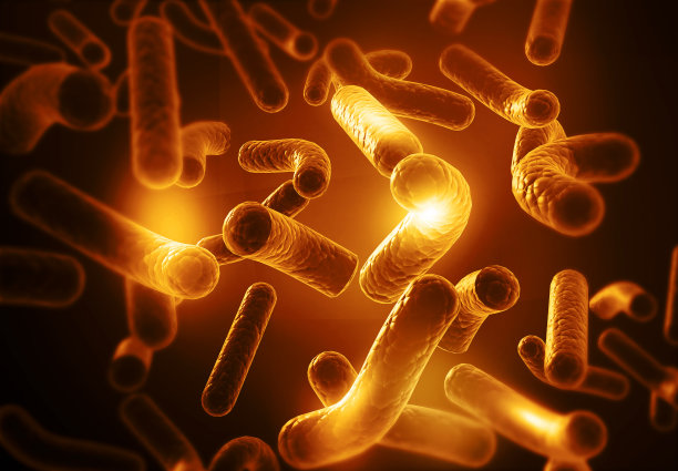 细菌的显微图图片下载