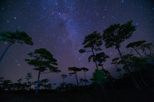 在泰国北部山顶的热带森林中，一条美丽的银河横跨天空 照片有增益和噪声图片下载
