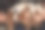 宠物狗正愉快地躺在主人的腿上放松。男人的手抚摸着一只可爱的宠物毛茸茸的皮毛。骑士国王查尔斯猎犬。特写照片图片下载