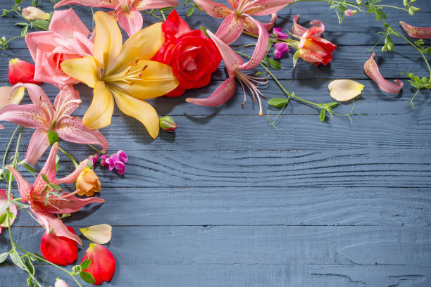 美丽的夏季花在深蓝色的木制背景图片下载