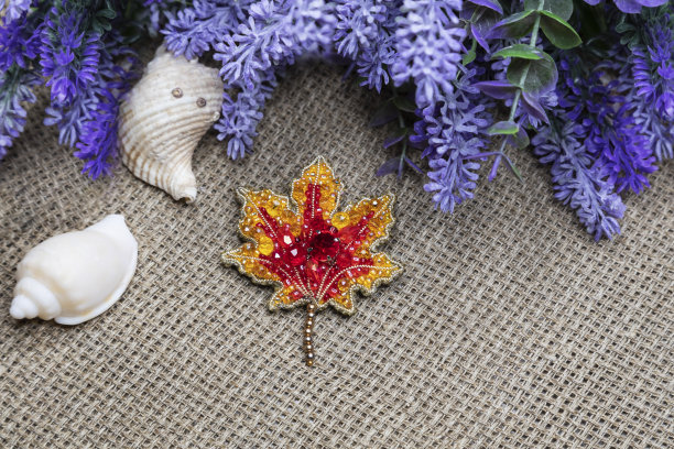 树叶形状的手工胸针。图片下载