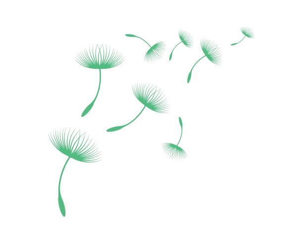 蒲公英矢量图图片下载