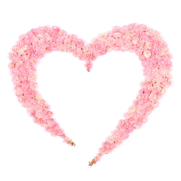 心形的粉色玫瑰花图片下载