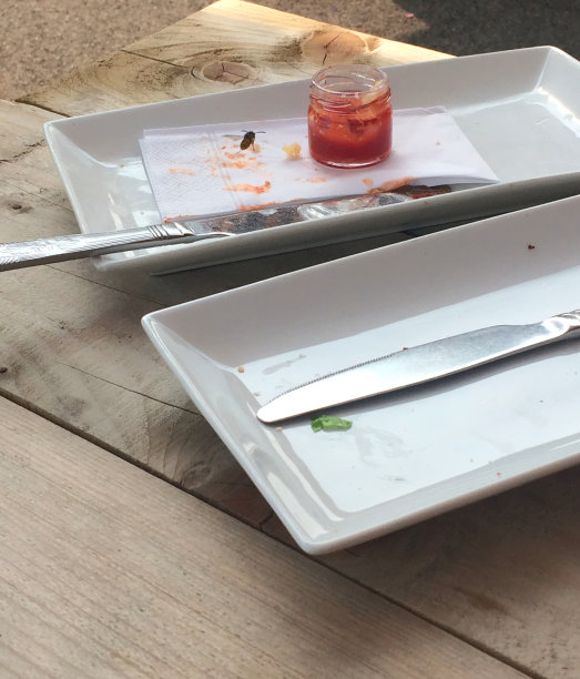 餐盘上的黄蜂图片下载