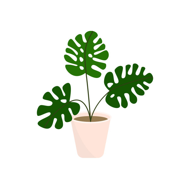 装饰植物。盆栽和自然自制花卉室内装饰平面卡通风格。矢量插图每股收益图片下载