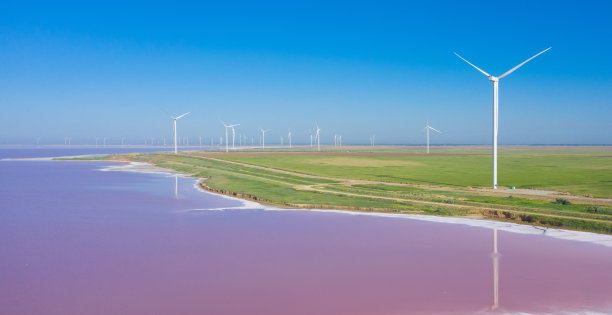 粉红湖岸边的风力发电场图片下载