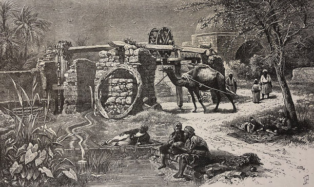 古董插图-波斯水轮与男人和骆驼围绕它-活动在水轮描绘图片下载