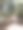 森林里的小路。图片下载