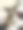 狗狗洗澡图片下载