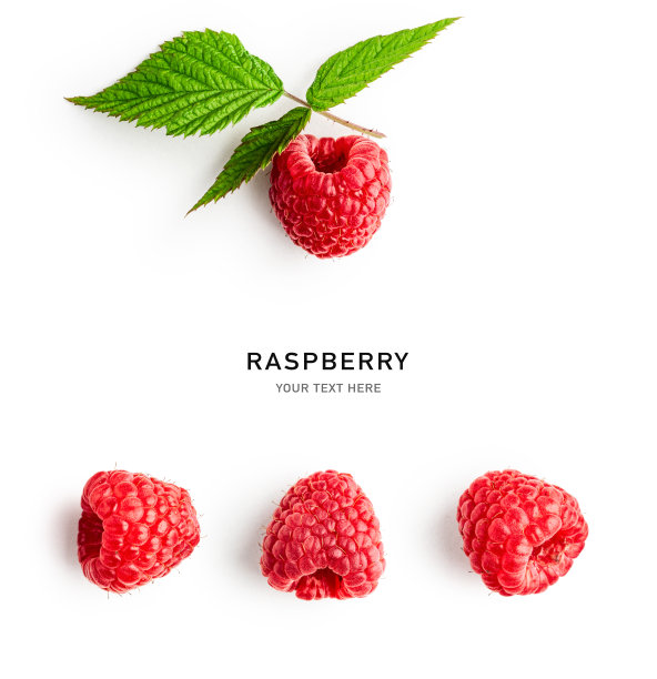 树莓和树叶的创意布局图片下载