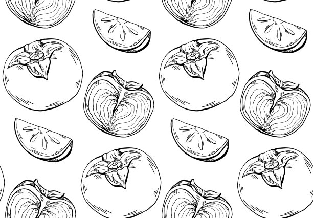 柿子素描画上白色无缝轮廓图案图片下载