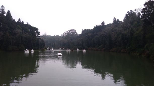 黑色的湖,Gramado图片下载