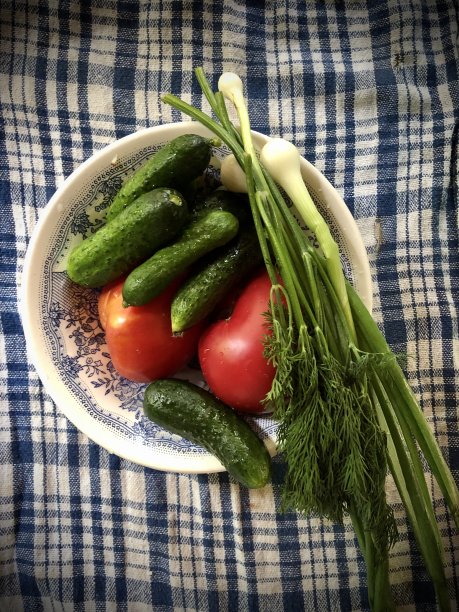 黄瓜，西红柿，葱和莳萝在碗里图片下载
