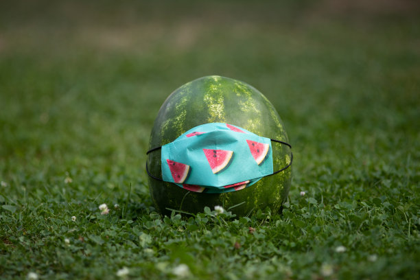 西瓜防护面膜图片下载