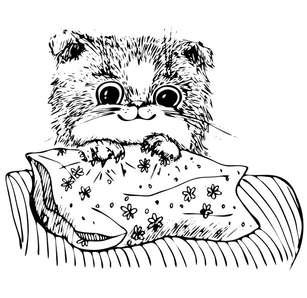 可爱的小猫躲在枕头后面微笑图片下载