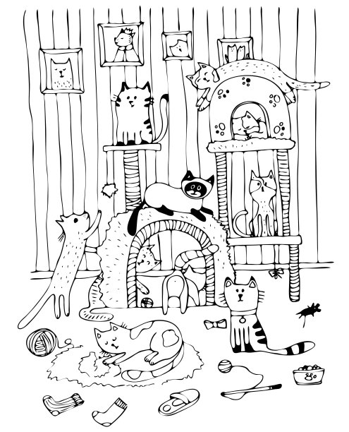 与猫玩图片下载