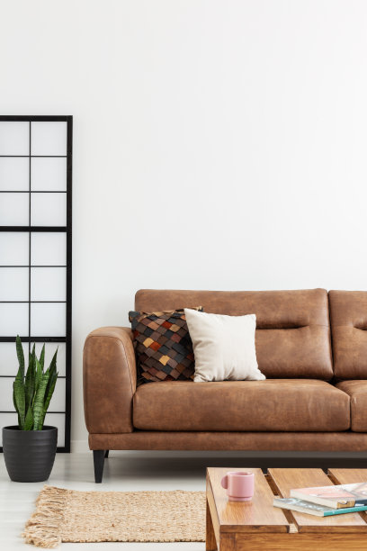 地毯和棕色皮革沙发与枕头在白色平坦的内部与植物和木制桌子。真实的照片图片下载