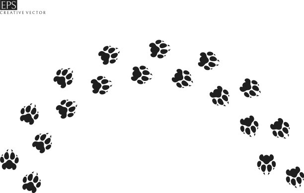 老虎爪印剪影图片下载