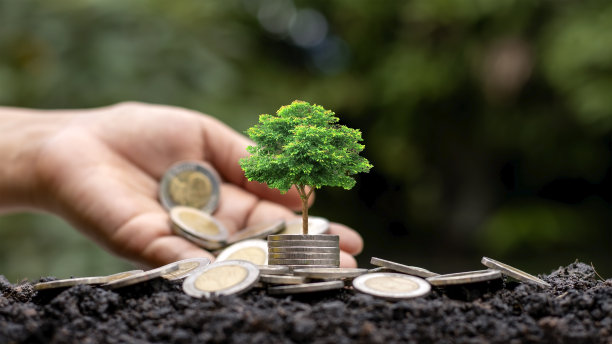 一棵树上长着一堆硬币，一盏白光照耀着树经济增长的想法。图片下载