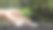 一棵树上长着一堆硬币，一盏白光照耀着树经济增长的想法。图片下载