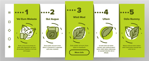 薄荷清爽叶子上的图标设置图片下载