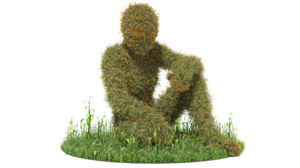 青翠的女性身影坐在青翠的土地上，胳膊肘放在膝盖上图片下载