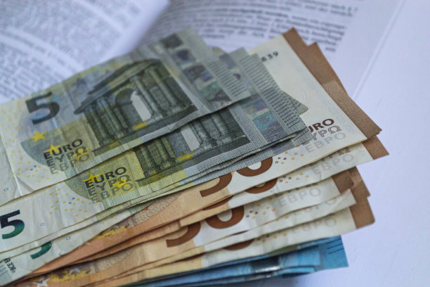 欧元纸币的背景。德国会计帐簿上的欧盟货币。图片下载