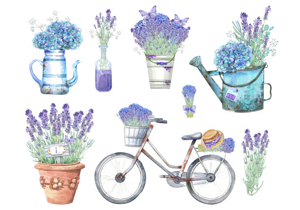 薰衣草图片下载