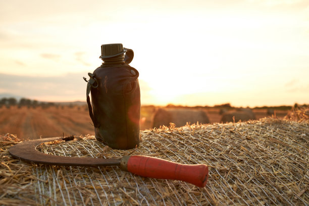 一个水瓶和一把镰刀放在一个阳光明媚的干草堆上图片下载