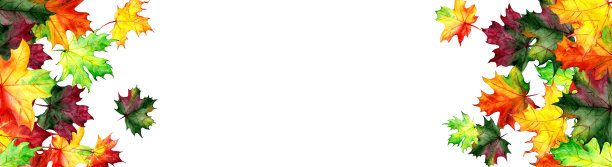 水彩枫叶横旗。秋天的设计。手绘的风格。插图图片下载