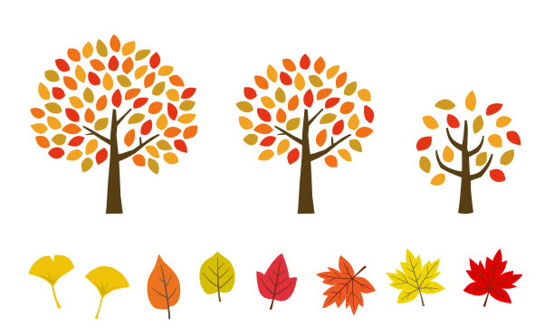 秋天的树叶和树的图标设置图片下载