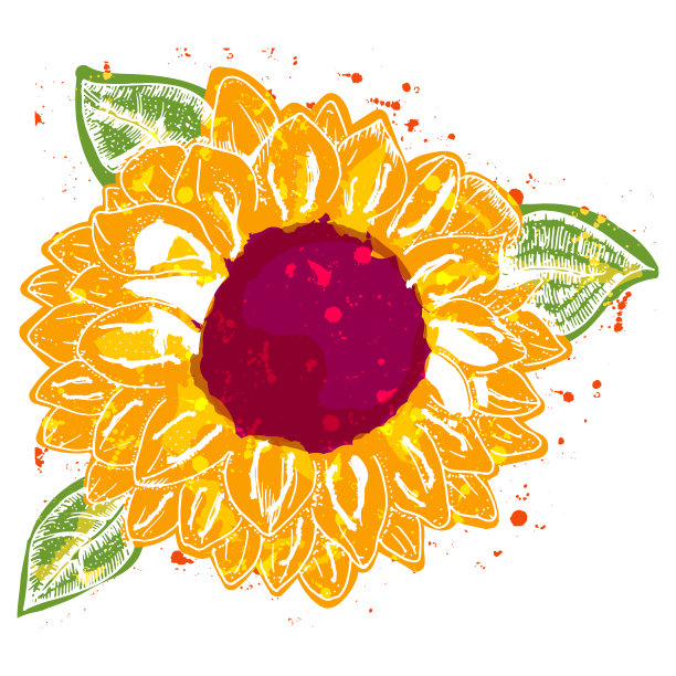 向日葵，矢量水彩画，贺卡或请柬的设计元素图片下载