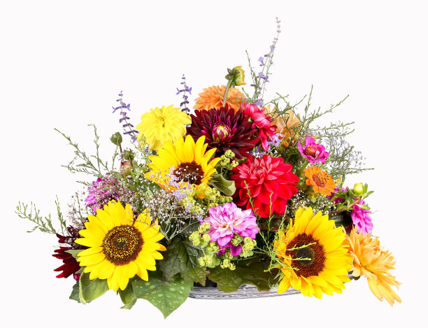 插花有向日葵，大丽花和百日菊图片下载