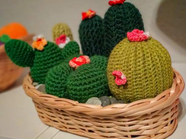 小装饰用钩编仙人掌花图片下载