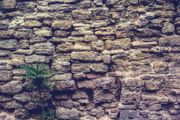 贝壳岩石的旧墙。图片下载