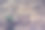 贝壳岩石的旧墙。图片下载