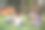 回到学校。幼儿园和小学的学生和老师一起坐在草地上露天上课图片下载