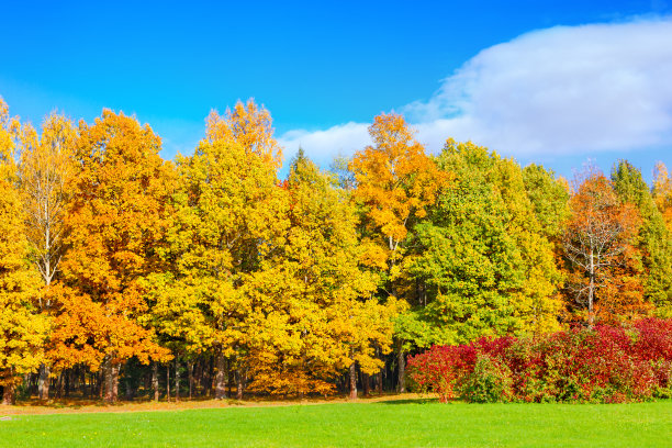秋天的风景图片下载