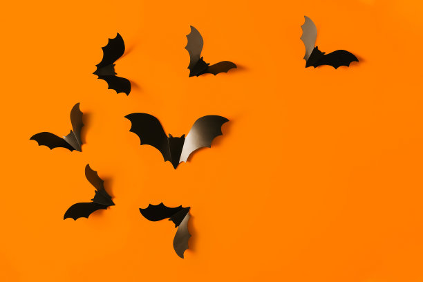 卡通万圣节背景黑色蝙蝠在橙色的背景。明亮的假日背景为您的设计。黑暗而阴沉的背景。图片下载
