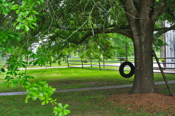 摇摆不定的轮胎图片下载