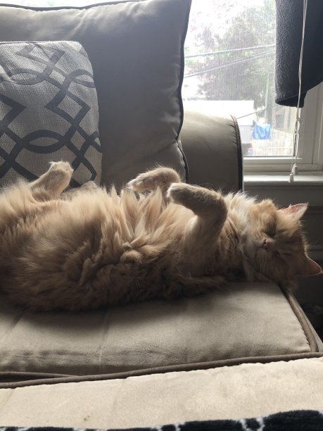 凯蒂猫图片下载