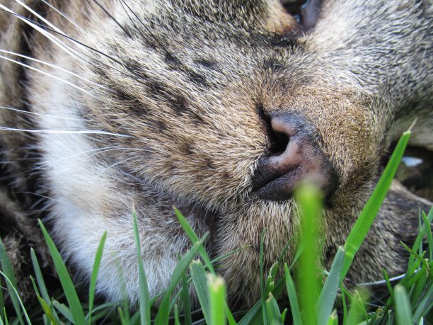 近距离和个人图片下载