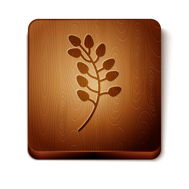 棕色柳叶图标孤立在白色上图片下载