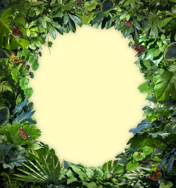 植物，自然，奇异的设计。植物的背景。完美的质量，细节包括各种植物的叶子和昆虫。各种植物叶、灌木叶、花。图片下载