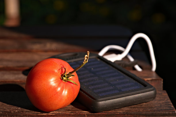 阳光充足的木桌上放置太阳能发电站和番茄图片下载